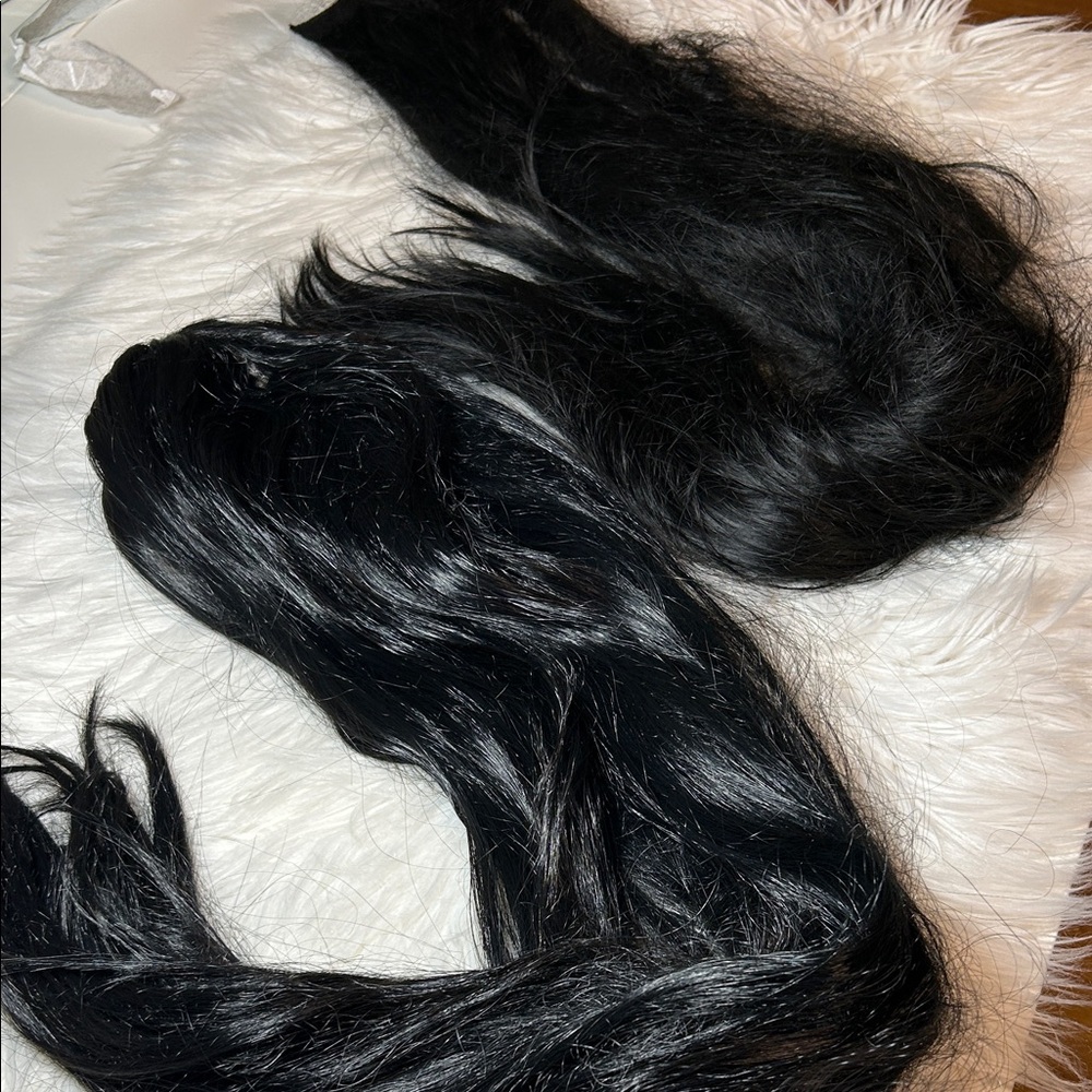 Long Black Wig + Hair Extension